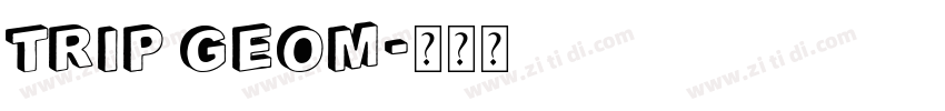 trip geom字体转换